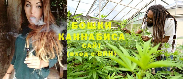 PSILOCYBIN Кукмор