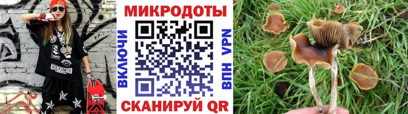 Купить закладки  Волгодонск  Псилоцибиновые грибы мухоморы 